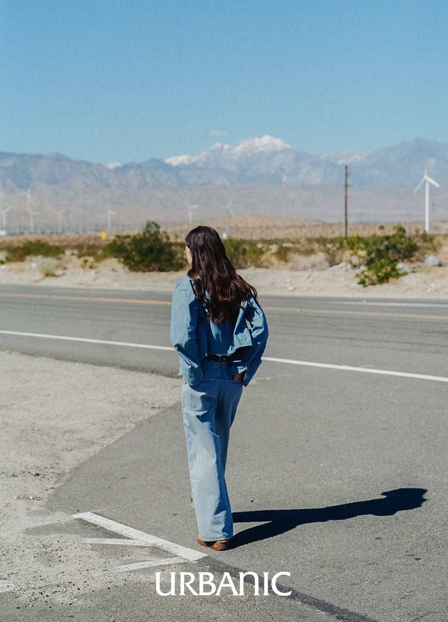 Hickory Denim Pants