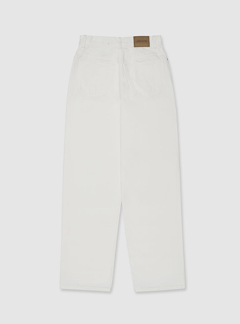 Destroyed Denim Pants